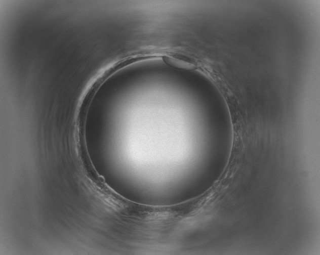 X0000063480342200601201249