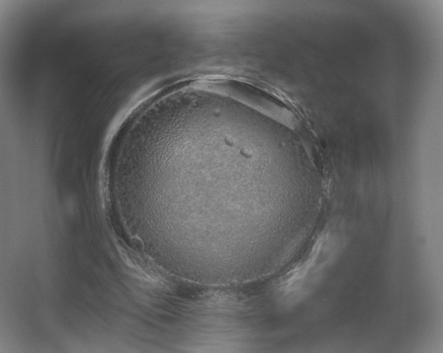 X0000063480343200601201249