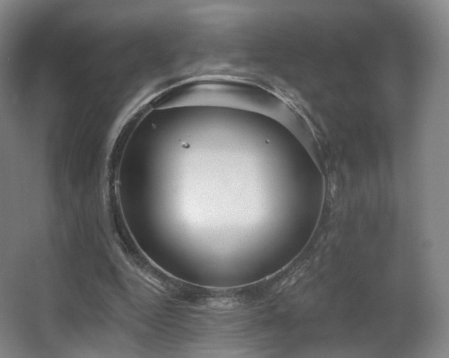 X0000063480344200601201249