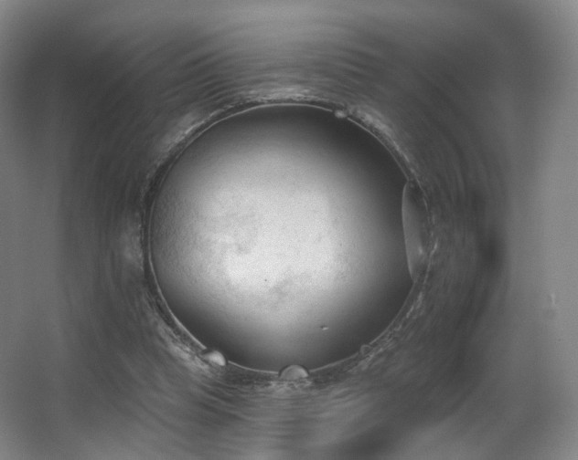 X0000063480345200601201249