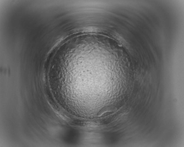 X0000063480347200601201249