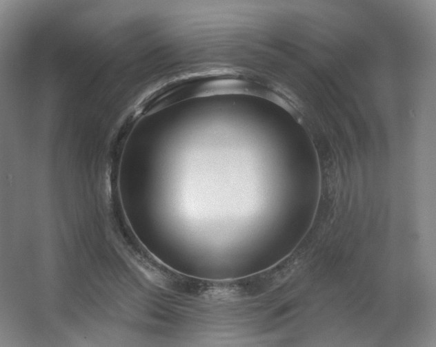 X0000063480350200601201249