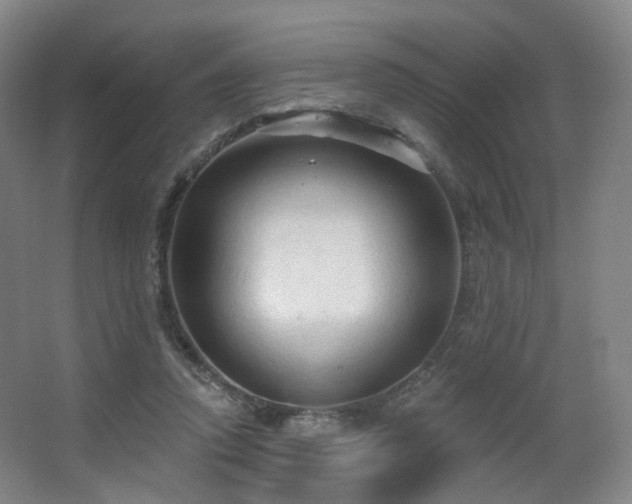 X0000063480354200601201249