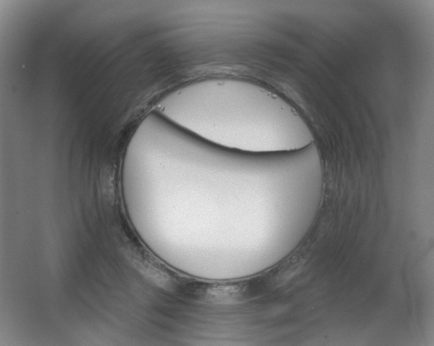 X0000063480357200601201249