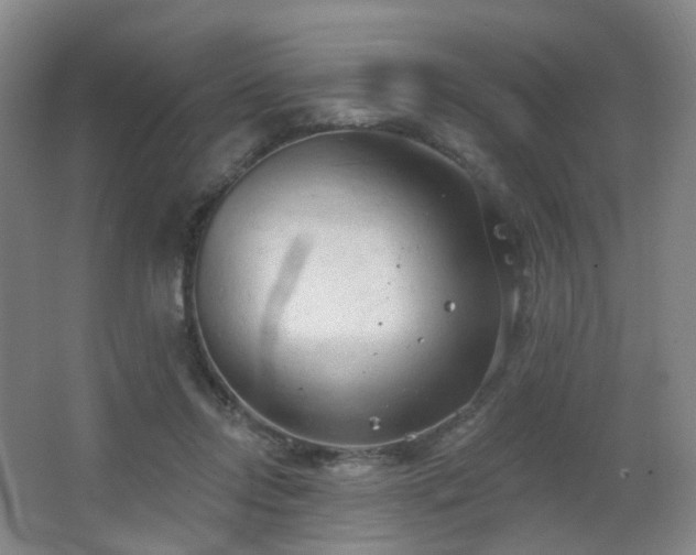 X0000063480358200601201249