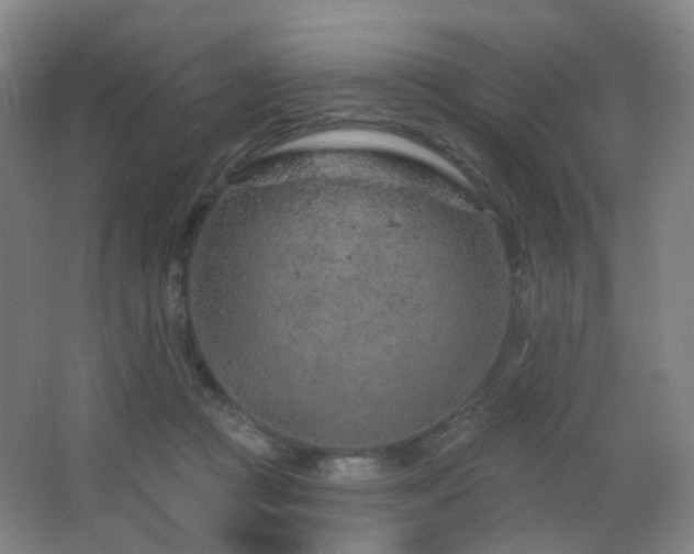 X0000063480361200601201249