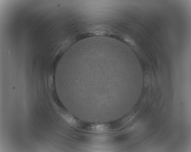 X0000063480365200601201249