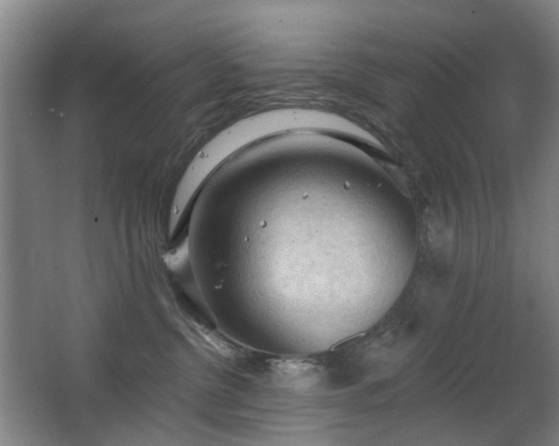 X0000063480380200601201250