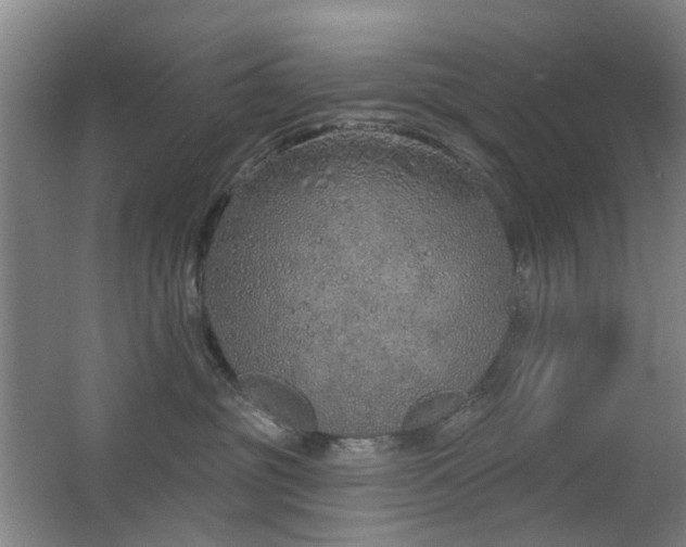 X0000063480381200601201250