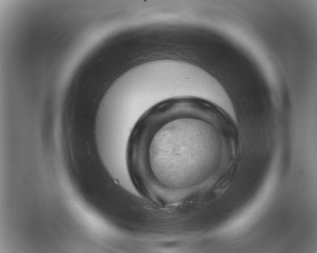 X0000063480382200601201250