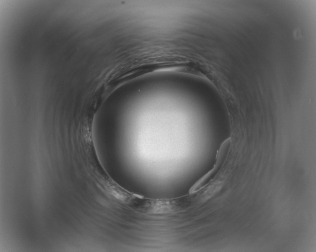 X0000063480384200601201250