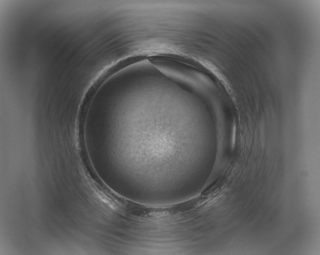 X0000063480391200601201249