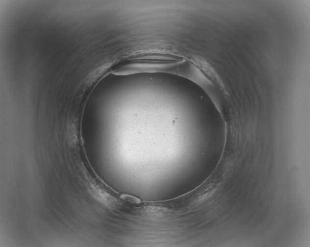 X0000063480393200601201249