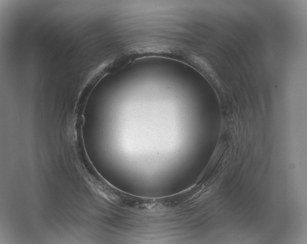 X0000063480395200601201249