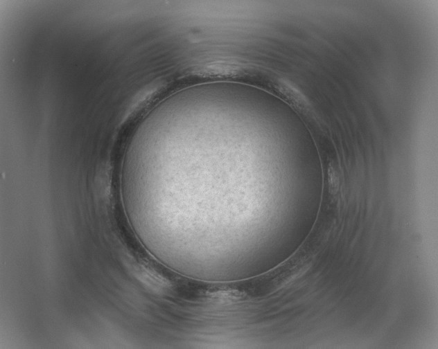 X0000063480396200601201249