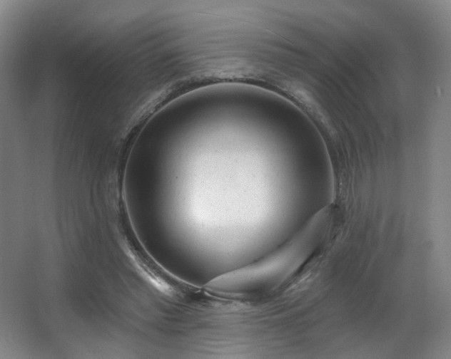 X0000063480397200601201249