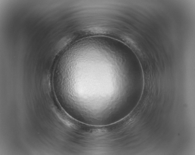 X0000063480398200601201249