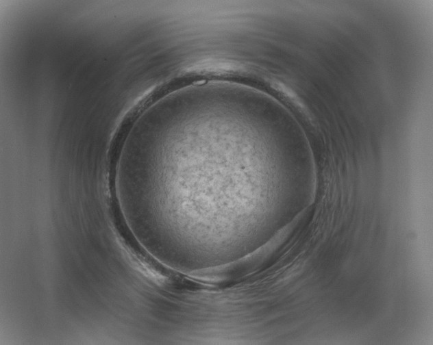 X0000063480399200601201249