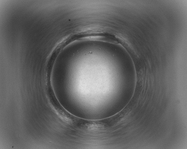 X0000063480400200601201249