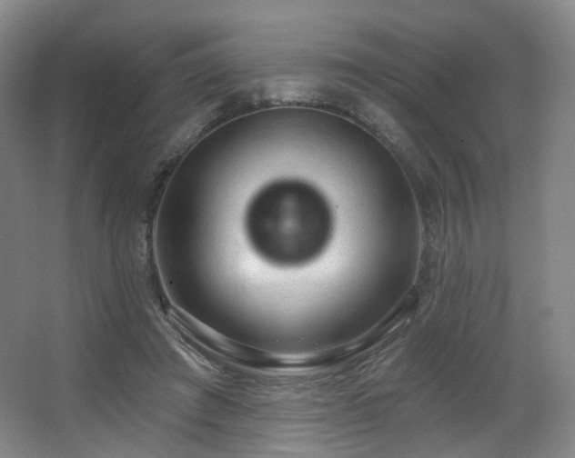 X0000063480401200601201249