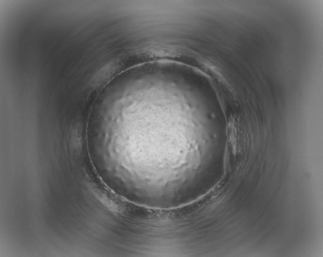 X0000063480402200601201249