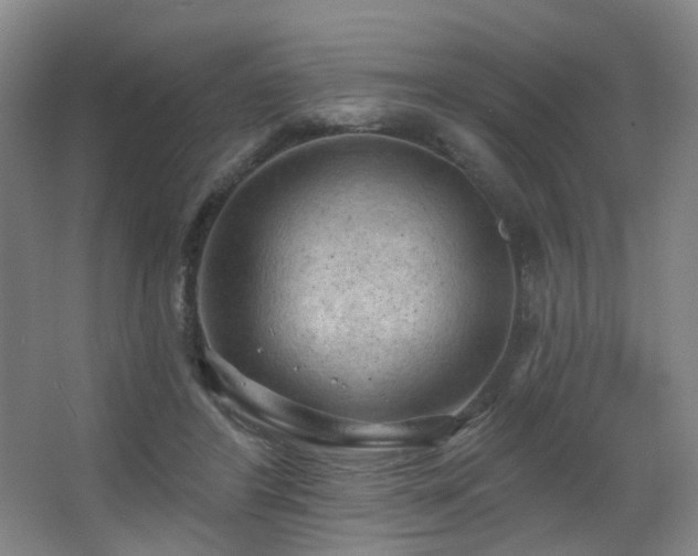 X0000063480404200601201249