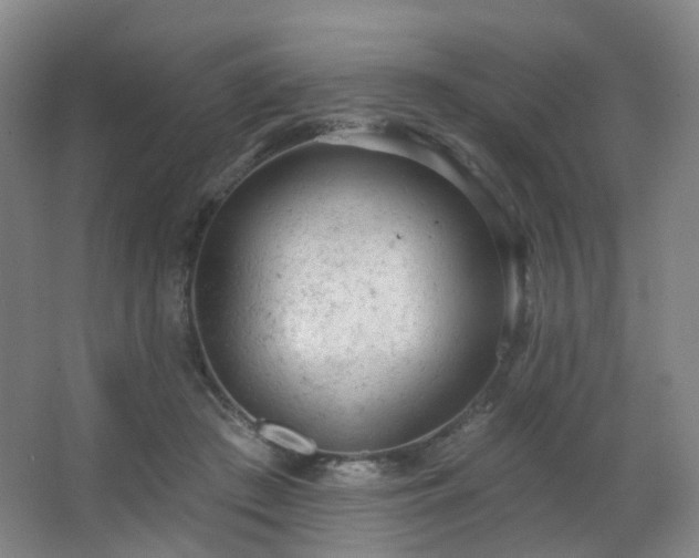 X0000063480409200601201248