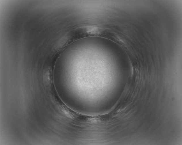 X0000063480424200601201248