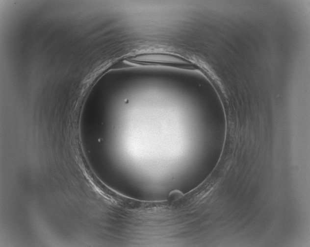 X0000063480433200601201247