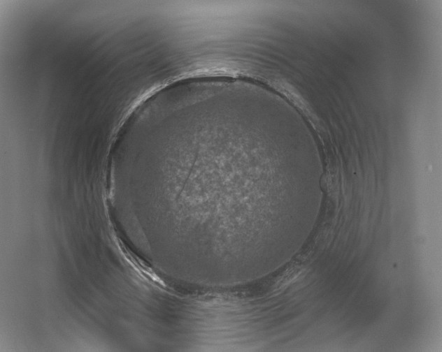 X0000063480434200601201247