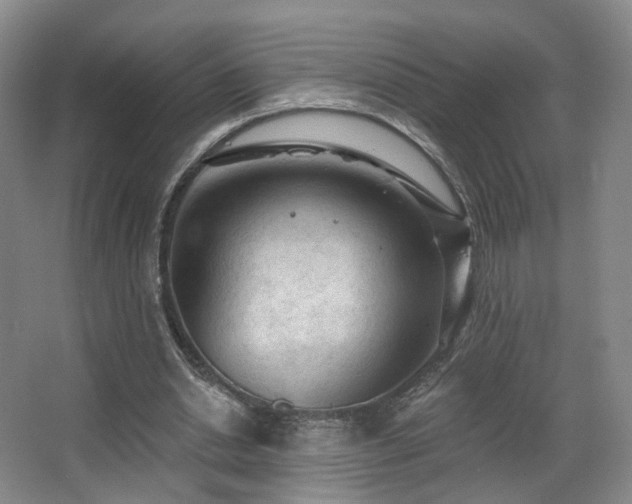 X0000063480438200601201247