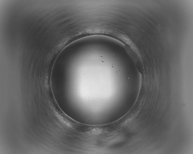 X0000063480441200601201247