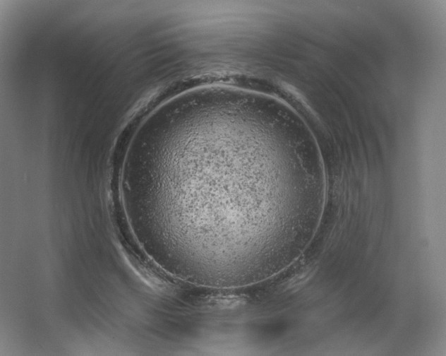 X0000063480443200601201247