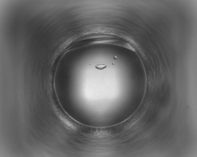 X0000063480445200601201247