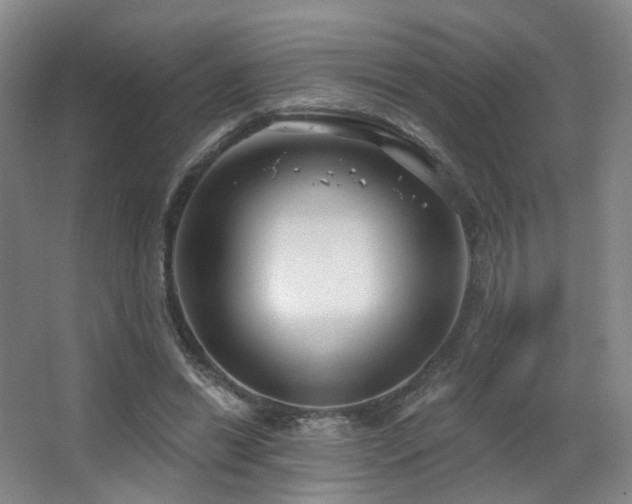 X0000063480446200601201247