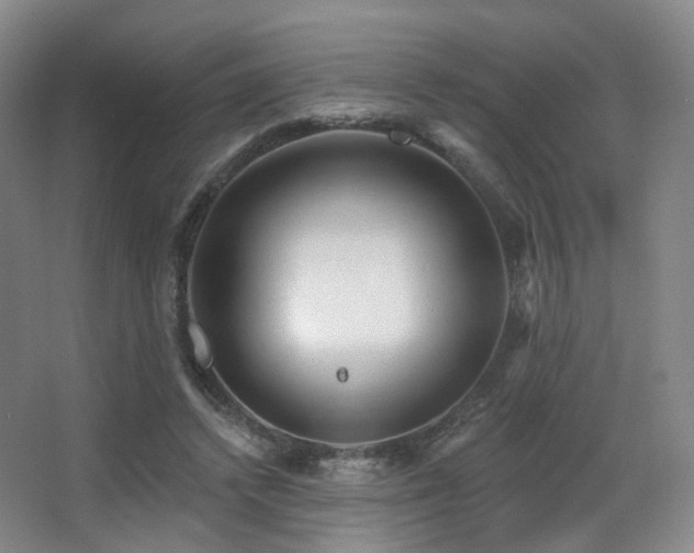 X0000063480448200601201247