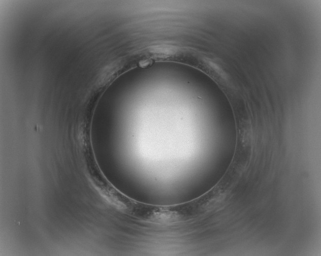 X0000063480455200601201248