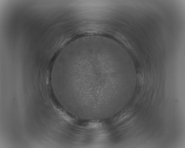 X0000063480458200601201248