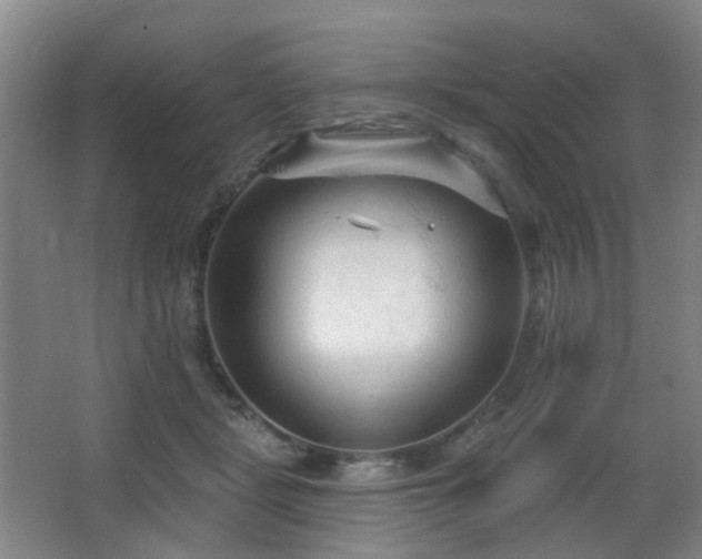 X0000063480461200601201248