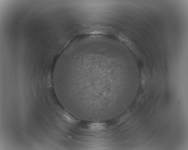 X0000063480465200601201248