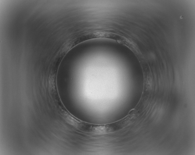 X0000063480473200601201248