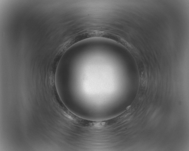 X0000063480474200601201248