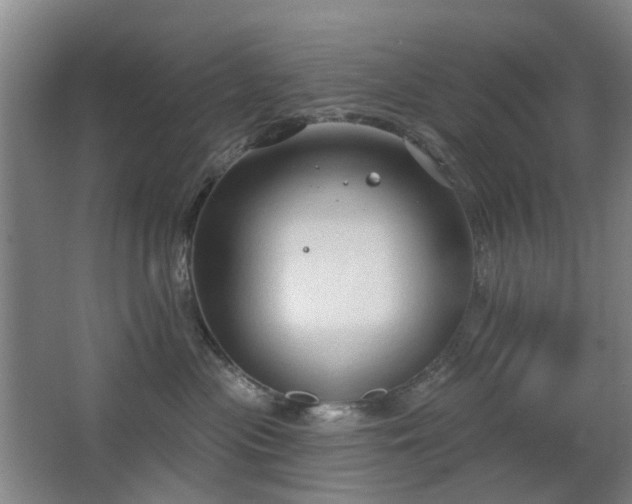 X0000063480477200601201248