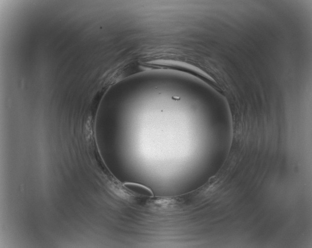 X0000063480478200601201248