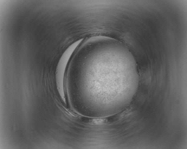 X0000063480479200601201248