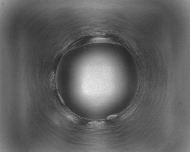 X0000063480480200601201248