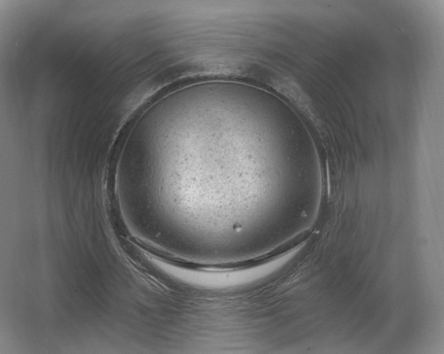 X0000063480483200601201247