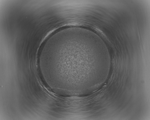 X0000063480484200601201247