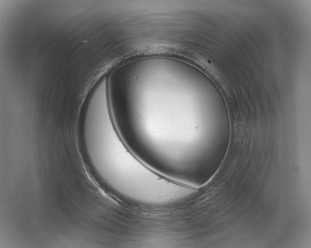 X0000063480485200601201247