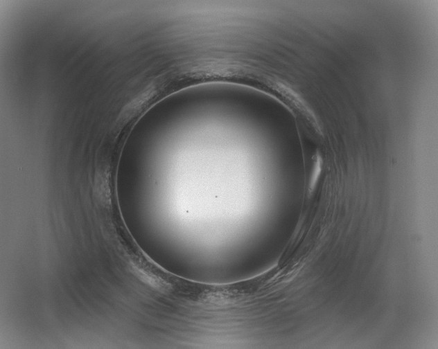 X0000063480489200601201247